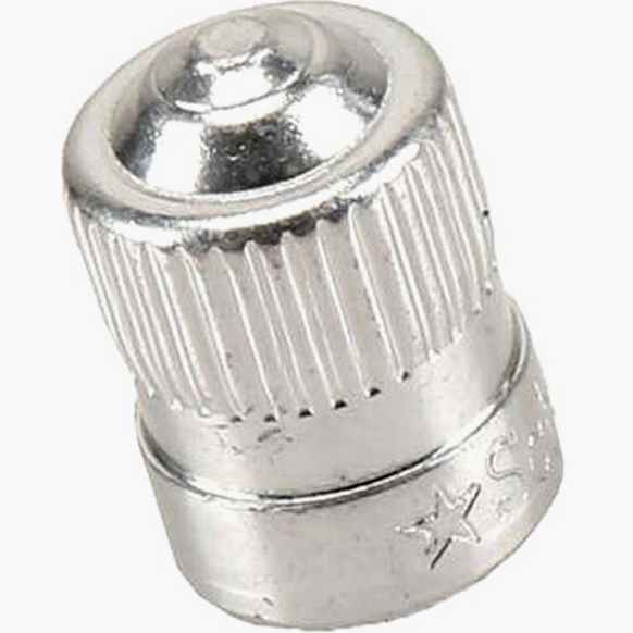 25731359 Valve Stem Cap