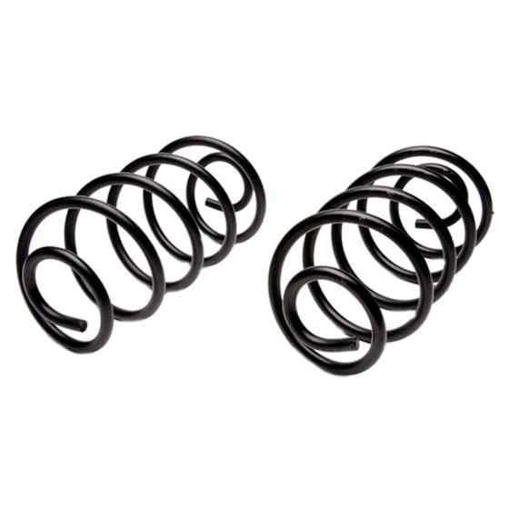 45H2015 Rear Coil Springs, Set of 2 Professional Series
