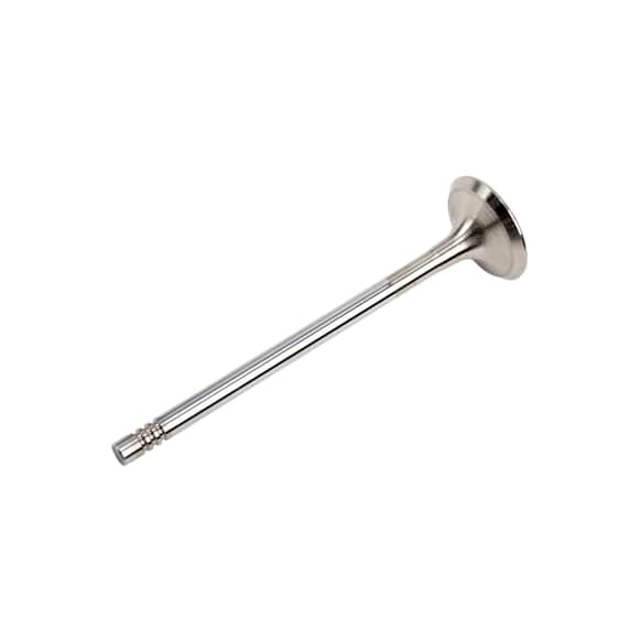55565339 Exhaust Valve - Direct Fit, Sold Individually