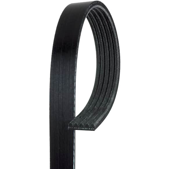 5K635 Professional Series Serpentine Belt - Direct Fit, Sold individually