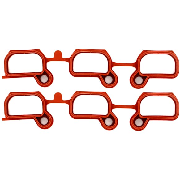 2003 BMW 330i - Intake Manifold Gasket, 6 Cyl 3.0L