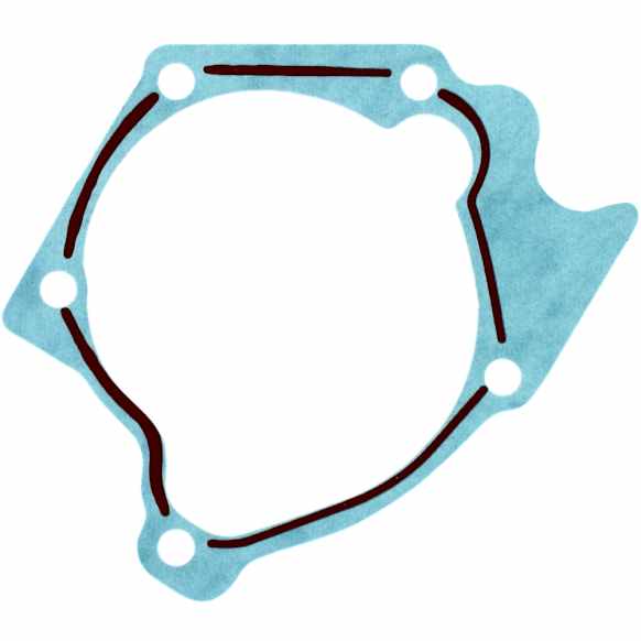 AWP3169 Water Pump Gasket - Direct Fit, Sold individually