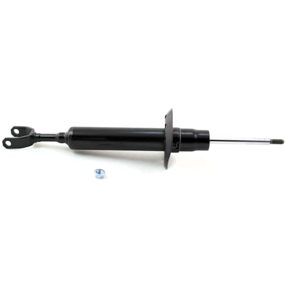 Bare Strut - Front, Driver or Passenger Side