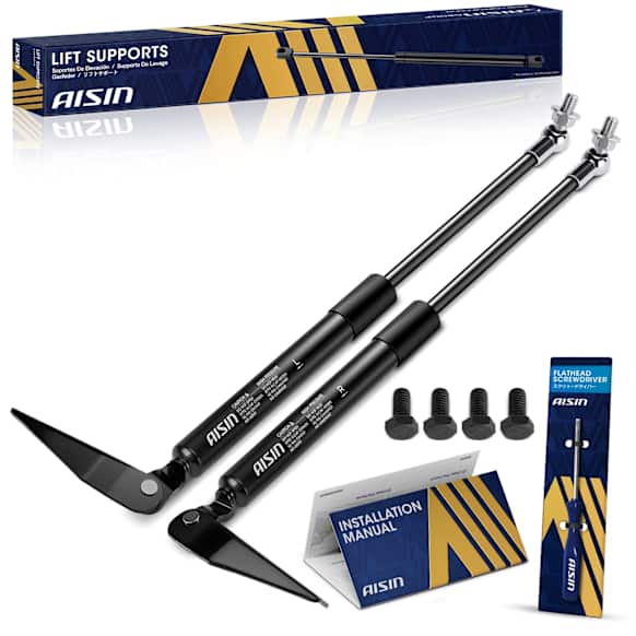 GASF-01774 Driver and Passenger Side Tailgate Lift Support, Set of 2