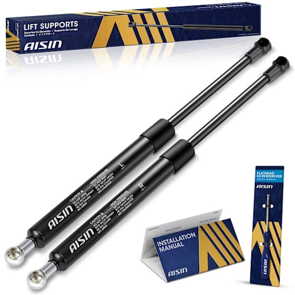 GASGM-00338 Driver and Passenger Side Tailgate Lift Support, Set of 2