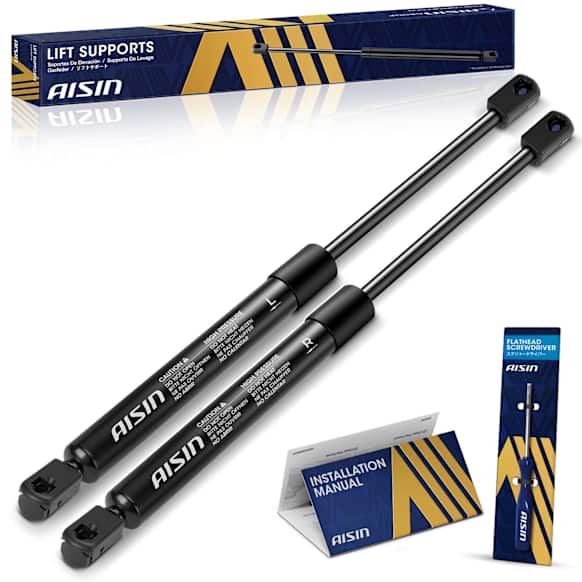 GASGM-00339 Driver and Passenger Side Back Glass Lift Support, Set of 2