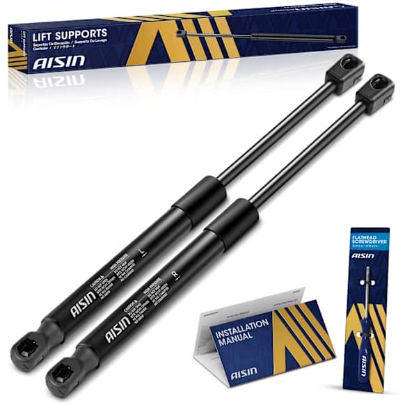 GASGM-00389 Driver and Passenger Side Hood Lift Support, Set of 2