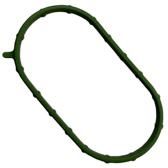 037-4876 Lower Intake Plenum Gasket