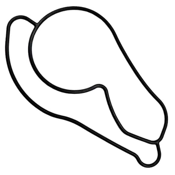 039-4188 Water Pump Gasket - Sold Individually