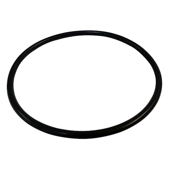 55366298AA Fuel Pump Seal - Direct Fit