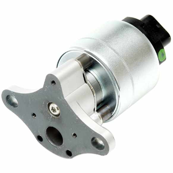 EG10175 EGR Valve