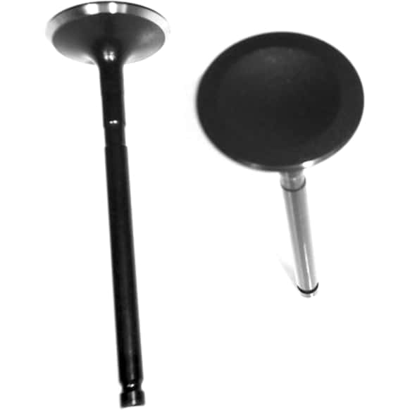 IV200 Intake Valve - Direct Fit, Sold individually