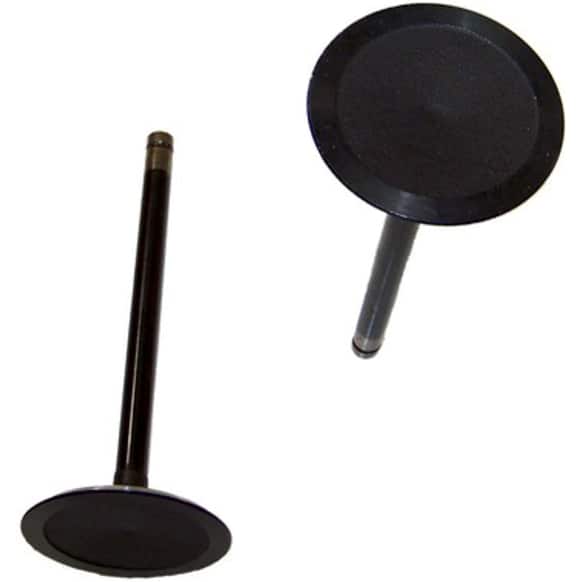 IV3160 Intake Valve - Direct Fit, Sold individually