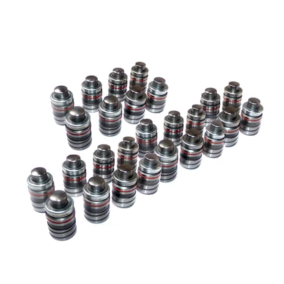 LFK24408 Valve Lifter