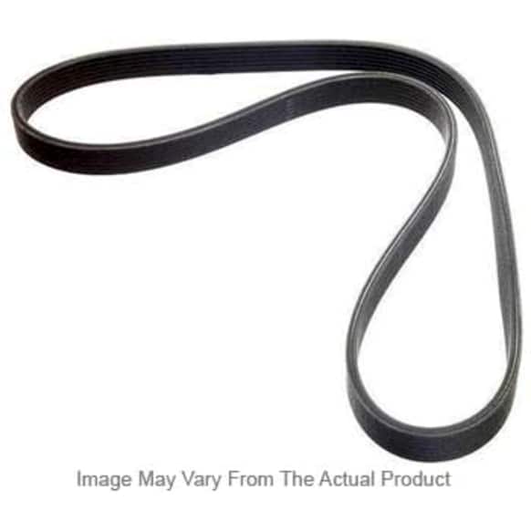 2005 Ford F-150 - Main Drive Serpentine belt, 4.6L, To 08/23/2004, without A.C.