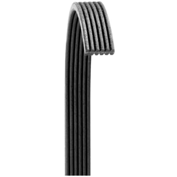 6060502 Dayco Poly Rib Series Serpentine Belt - Direct Fit, Sold Individually