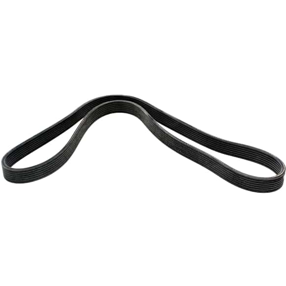 2002 Volkswagen EuroVan - Main Drive Serpentine belt, 6 Cyl 2.8L