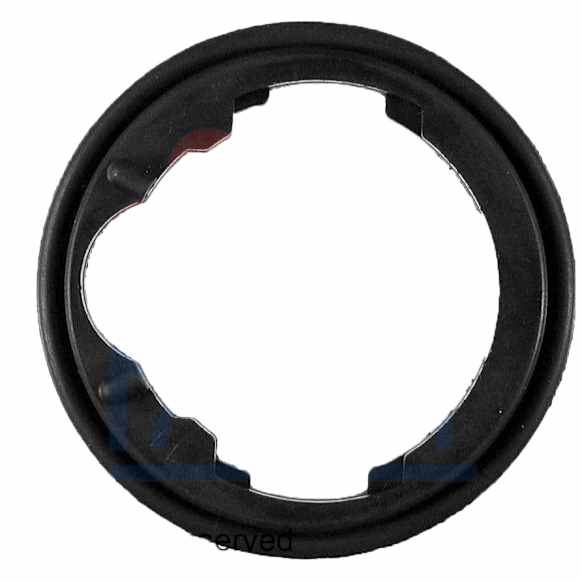7.9548 Thermostat Gasket - Direct Fit, Sold individually