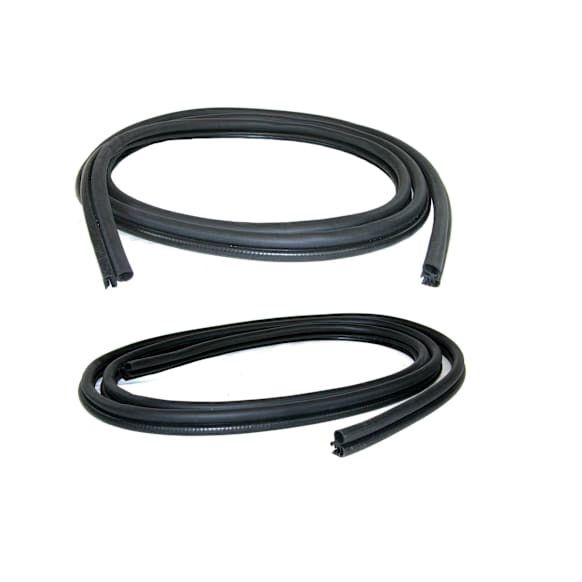 1996 Dodge Dakota - Door Glass Weatherstrip - Set of 2