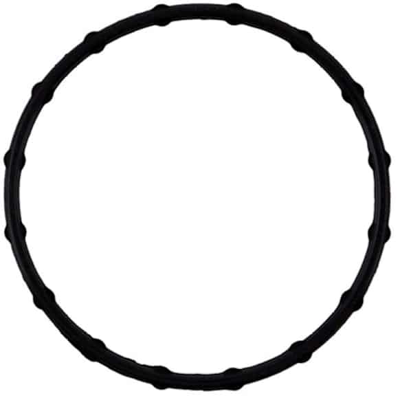 2015 Chrysler 200 - Thermostat Gasket, Sold Individually