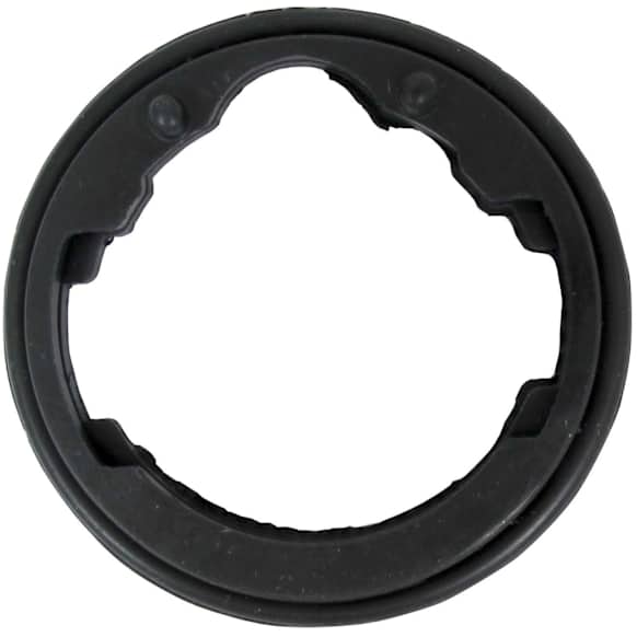 2004 Isuzu Axiom - Thermostat Gasket, GAS