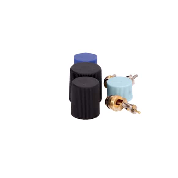 1321363 A/C Caps and Valve Core Seal Kit - Direct Fit