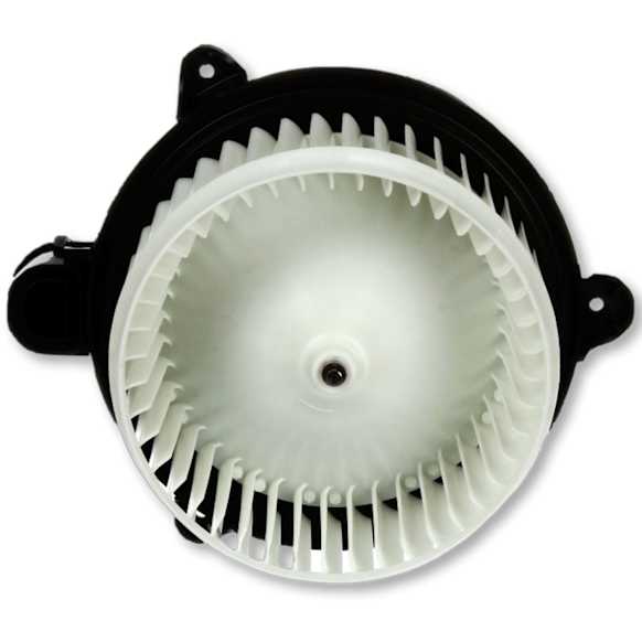 2311934 Rear Blower Motor