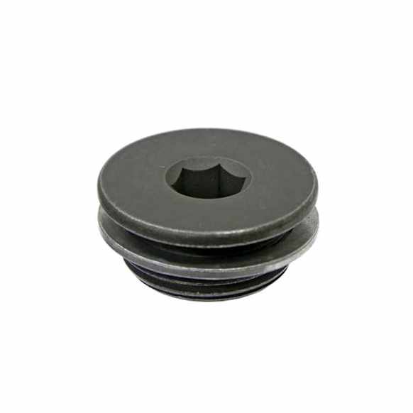 Genuine BMW Vanos Unit Plug with Seal Ring (Screw Plug) - Replaces OE Number 11-36-1-438-338