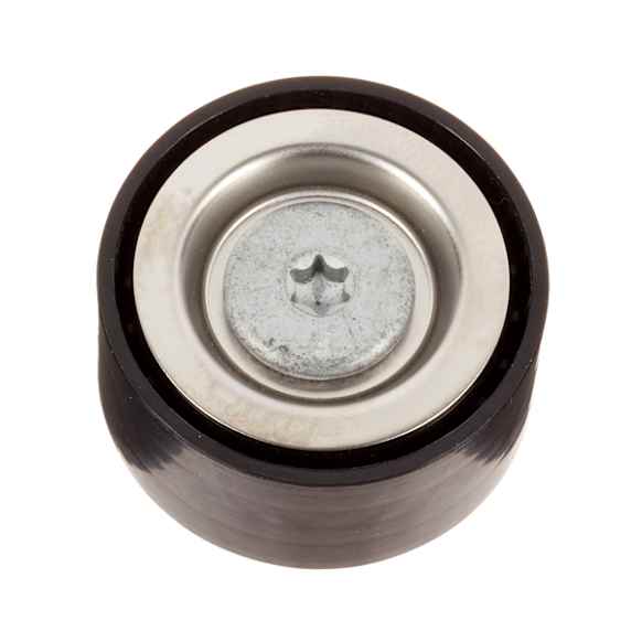 FP06721 Accessory Belt Idler Assembly