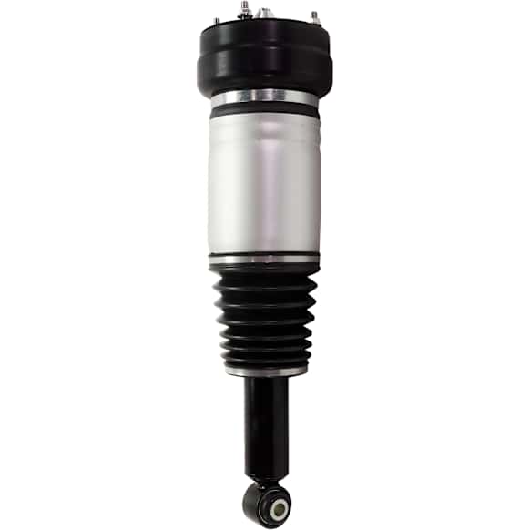 Air Strut - Rear, Driver or Passenger Side, With Air Spring