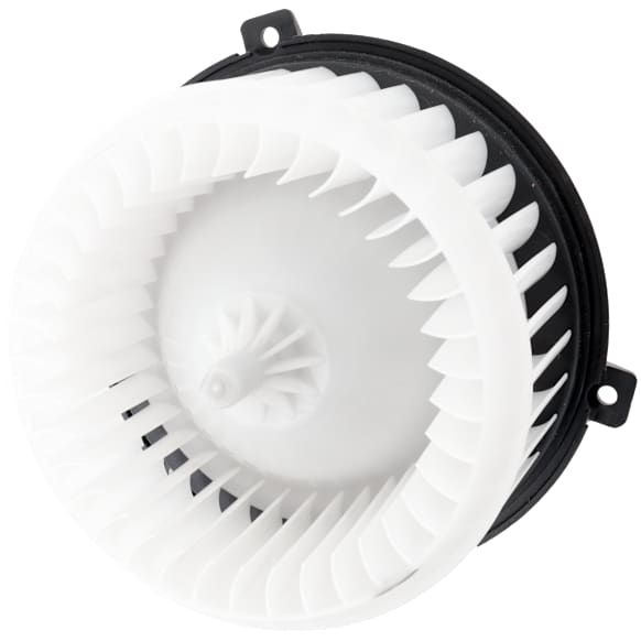 Blower Motor