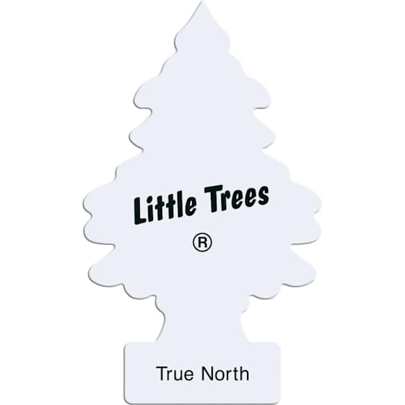 U6P-67146 True North Air Freshener, Set of 6