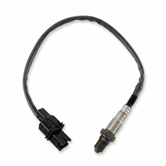2930 Universal, Atomic, O2 Sensor Wideband
