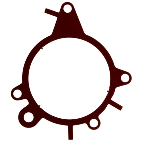 B32630 Vacuum Pump Gasket