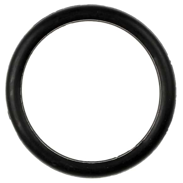 C31138 Thermostat Gasket - Direct Fit, Sold Individually