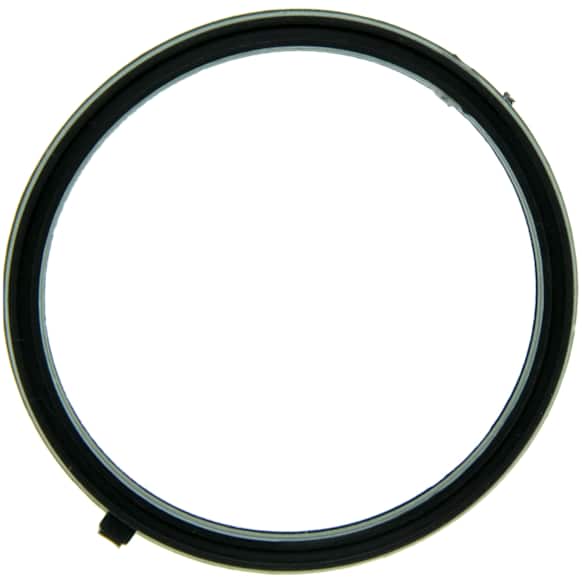 2005 Jeep Grand Cherokee - Thermostat Gasket, Molded Rubber, Sold Individually