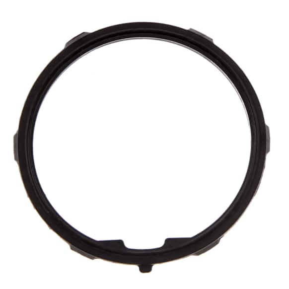 C32061 Thermostat Gasket - Direct Fit, Sold Individually
