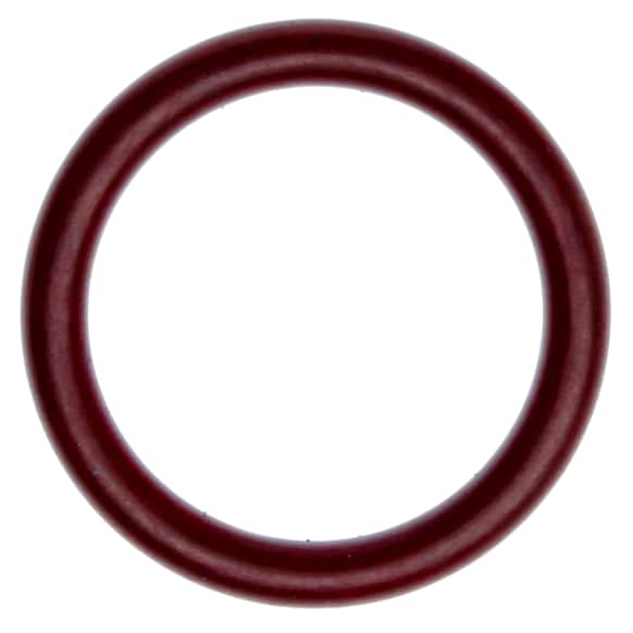 2020 Ford F-150 - Direct Fit EGR Tube Gasket, Sold Individually