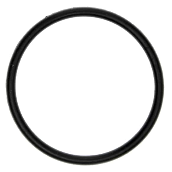 2018 Ford F-150 - Water Pump Gasket - Direct Fit, Sold Individually