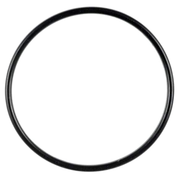 2021 Ford Ranger - Water Pump Gasket - Direct Fit, Sold Individually