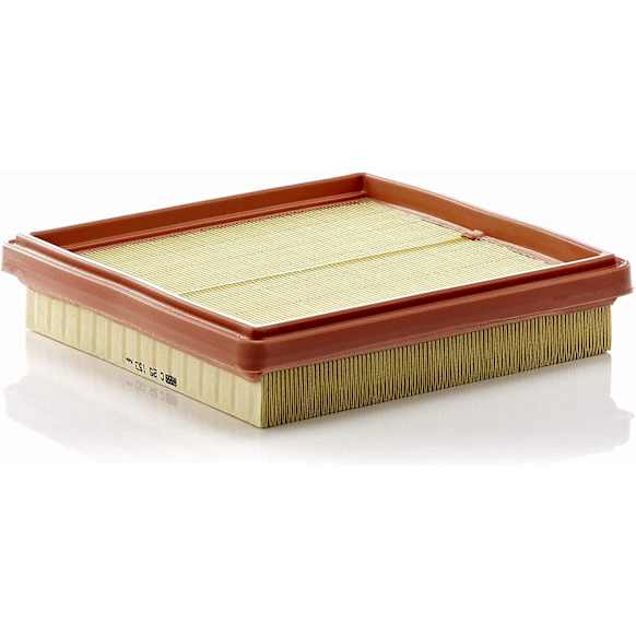 C 25 153 Air Filter