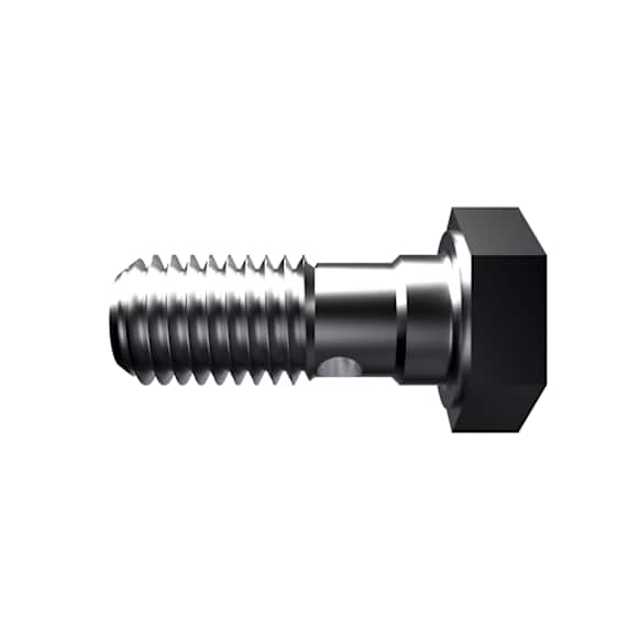 06510161AA Brake Hose Banjo Bolt