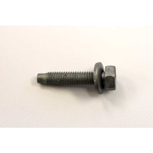 6503929 Screw - Sold Individually