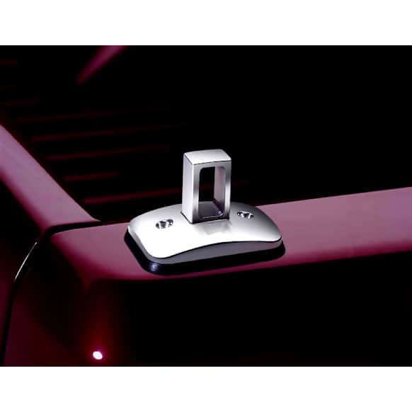 99901 Tie Down - Chrome, Universal, Set of 2
