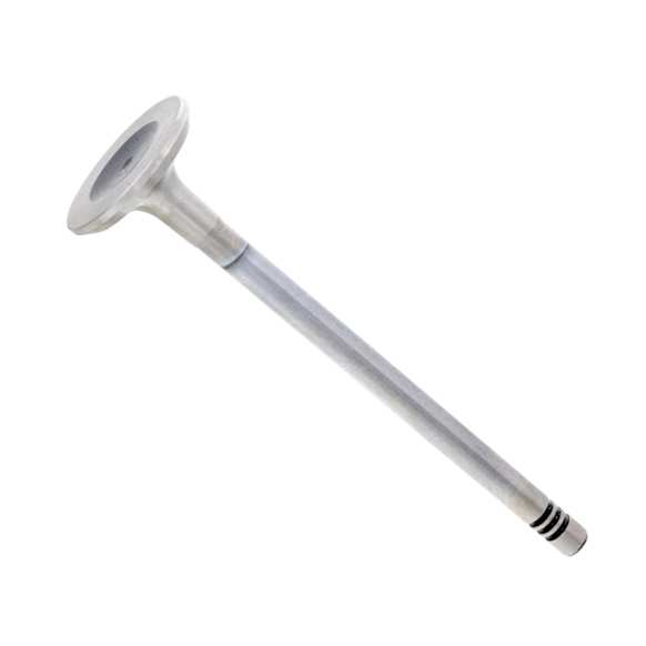 9454610 Exhaust Valve - Sold individually