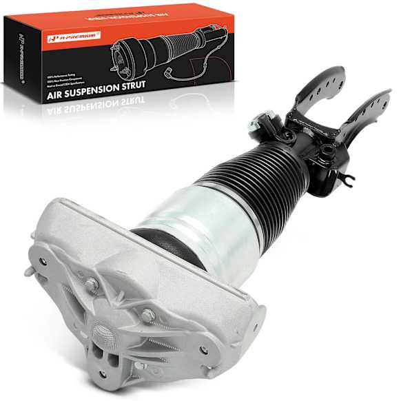 APAST242 Front Passenger Air Suspension Strut