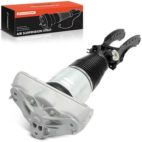 APAST243 Front Driver Air Suspension Strut