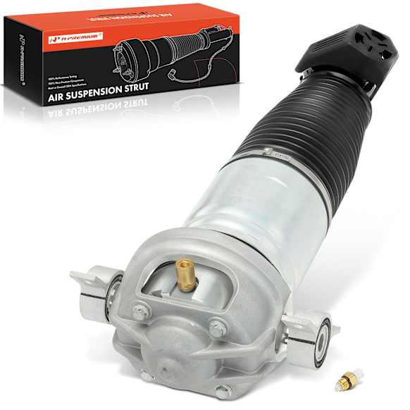 APAST269 Rear Passenger Air Suspension Strut