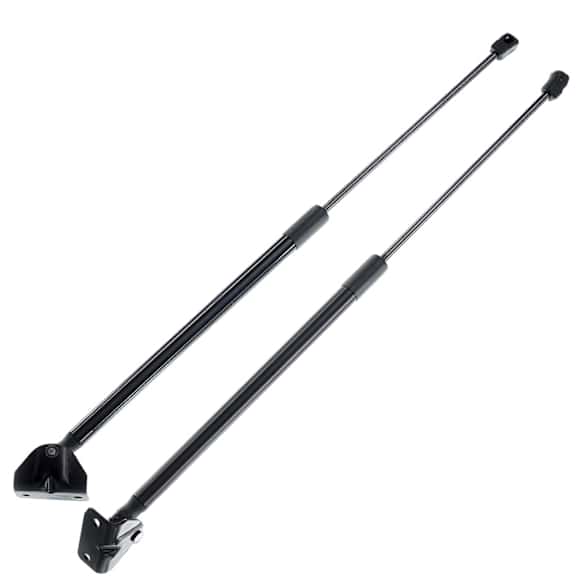 APGS0141 2x Rear Liftgate Lift Supports Shock Struts