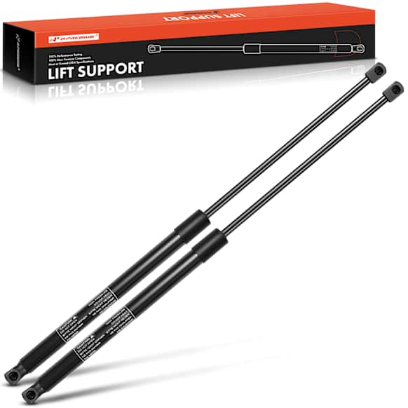 APGS1255 2 Pcs Front Hood Lift Supports Struts
